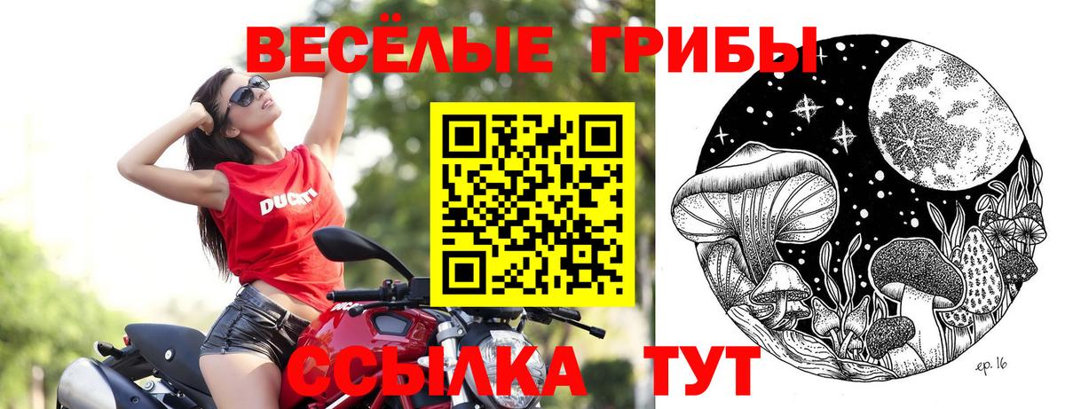 Псилоцибиновые грибы ЛСД Мичуринск
