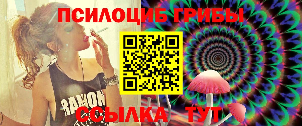 Псилоцибиновые грибы прущие грибы  Вход с VPN  Мичуринск 